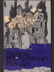 Přízrak bělověžského pralesa - náhled