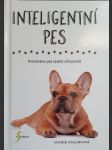 Inteligentní pes - náhled