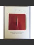 Jeschke van Vliet Auctions Berlin: Auktion 142: Moderne und zeitgenössische Kunst / Moderne Photographie = Modern and Contemporary Art / Modern Photography; Freitag, 24. Juni 2022 [aukce, katalogy, moderní umění, fotografie] - náhled