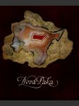 Nová paka / z geologické minulosti novopacka bařina miloslav / tuček karel - náhled