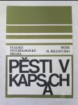 Pěsti v kapsách - náhled