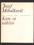 Kam sa náhlite - náhled