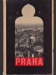 Praha Přírodní krásy Prahy - náhled