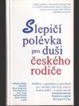 Slepičí polévka pro duši českého rodiče - náhled