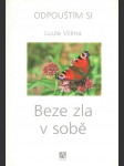 Odpouštím si: Beze zla v sobě    - náhled
