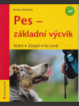 Jak zabavit psa, aby se nenudil - náhled