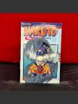 Naruto - náhled