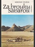 Za brouky saharou - náhled