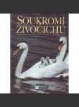 Soukromí živočichů (příroda, zvířata, fotografie) - náhled