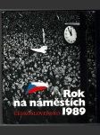 Rok na náměstích - náhled