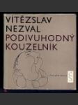 Podivuhodný kouzelník - náhled