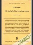 Klinische Vektorkardiographie - náhled