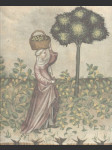 Zahrada slov - náhled