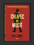 Chlapec na mostě - náhled