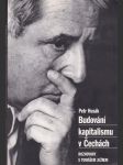 Budování kapitalismu v Čechách - náhled