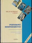 Podnikové hospodárstvo... - náhled