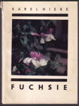 Fuchsie (malý formát) - náhled