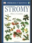 Stromy - náhled