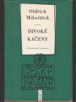 Divoké kačeny - náhled