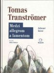 Medzi allegrom a lamentom   - náhled