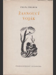 Žasnoucí voják - náhled