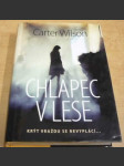 Chlapec v lese - náhled