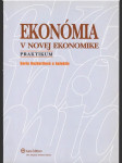 Ekonómia v novej ekonomike praktikum (veľký formát) - náhled