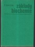 Základy biochemie (väčší formát) - náhled