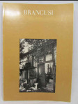 Constantin Brancusi: 1876-1957: A Retrospective Exhibition - náhled
