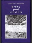 Brehy pod mostom (s podpisom autora) - náhled