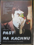 Past na kachnu - náhled