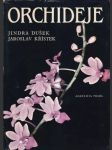 Orchideje (veľký formát) - náhled