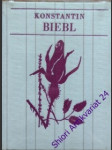 Manifesty - biebl konstantin - náhled