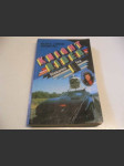 Knight Rider I., Riskantní hra. Román napsaný na základě seriálu Universal television Knight Rider. - náhled