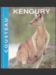 Kengury - náhled