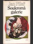 Soukromá galerie - náhled