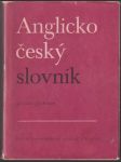 Anglicko-český slovník - náhled