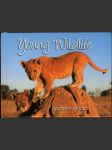 Young Wildlife - Southern Africa (malý formát) - náhled