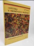 Estetika v proměnách prožitků: Cesty, propasti a pasti estetiky - náhled