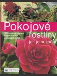 Pokojové rostliny jak je neznáte (veľký formát) - náhled