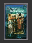 Tajemství zázračného obrazu - náhled
