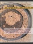 Stopy u Šalt-al-Arab (veľký formát) - náhled