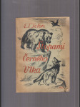 Stopami Černého Vlka - náhled