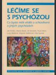 Léčíme se s psychózou: Co byste měli vědět o schizofrenii a jiných psychózách - náhled