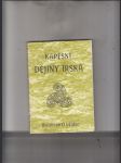 Kapesní dějiny Irska - náhled