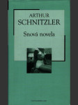 Snová novela - náhled