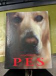 Pes - náhled