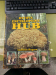 Ottova encyklopedie: Hub - náhled