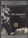 Pod Pálavou - náhled