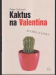 Kaktus na valentína - náhled